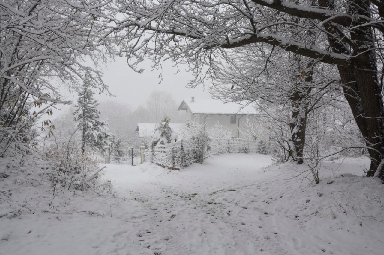 Casa Omnia B&B Castellamonte Zewnętrze zdjęcie